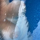 Would you play with them underwater?