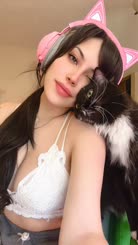 Cute Felicia: Vox