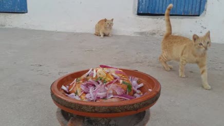 EasyHomemadeMoroccanBeefTaginewithbeautifulVigies