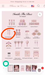 FlowerKnowsMidsummerFairytalesCollection ConcealerorHighlighter 
