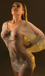 A woman wearing a see through dress.