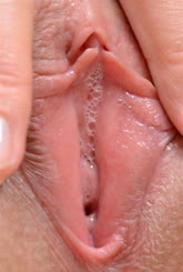 Pussy mit weichem Schaum