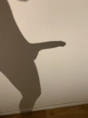 Schattenspiel [M]