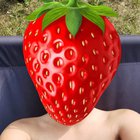 Getting started with my first postings so please be kind ðŸ“ðŸ“ðŸ“ for the first subscribers I will have an 40% offer ðŸ“ðŸ“ðŸ“ hope you like my 19yo pierced nipples and petite body ðŸ“ðŸ“ðŸ“